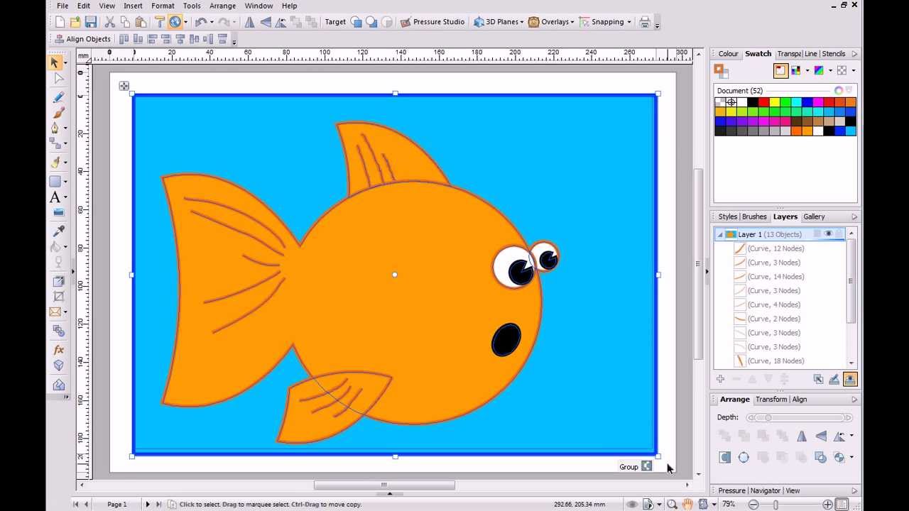 Which Software is Used for Vector Graphics?