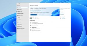 How to Disable Automatic Updates in Windows 11?